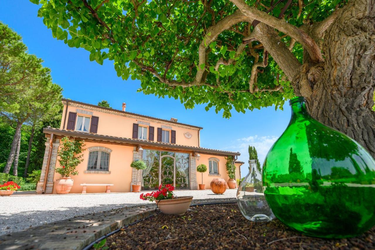 Il Poggianino Bed & Breakfast Poggio Berni Exterior photo